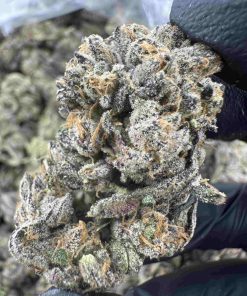 Guala Berries 30.2% THCA