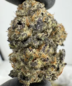 Illuminati 26.8% THCA