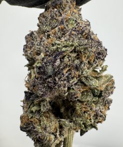 Crunch Berry 29.3% THCA