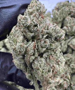 Gorilla Glue 28.9% THCA