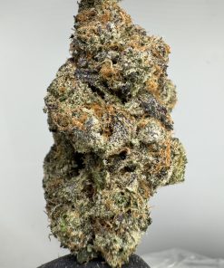 UK Cheese 29.3% THCA