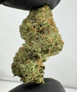 Alien OG x Chem OG 27.2% THCA