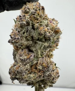 Blueberry Kush Mintz 27.5% THCA