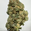 Blue Dream 27.3% THCA