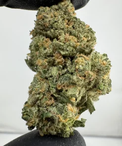 Blue Dream 27.3% THCA
