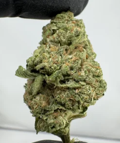 Fatso OG 26.9% THCA