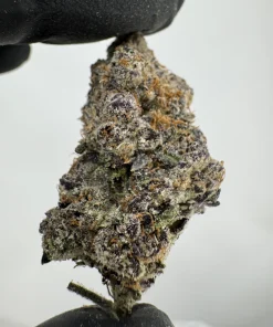 LCG X BX 33.2% THCA