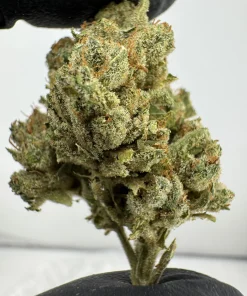 Mega Wellness OG 26.7% THCA