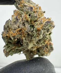 Pineapple 31.5% THCA