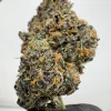Sherbanger 27.8% THCA