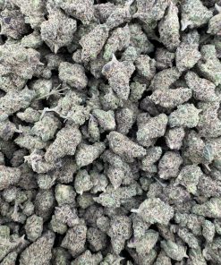 Government Oasis Smalls